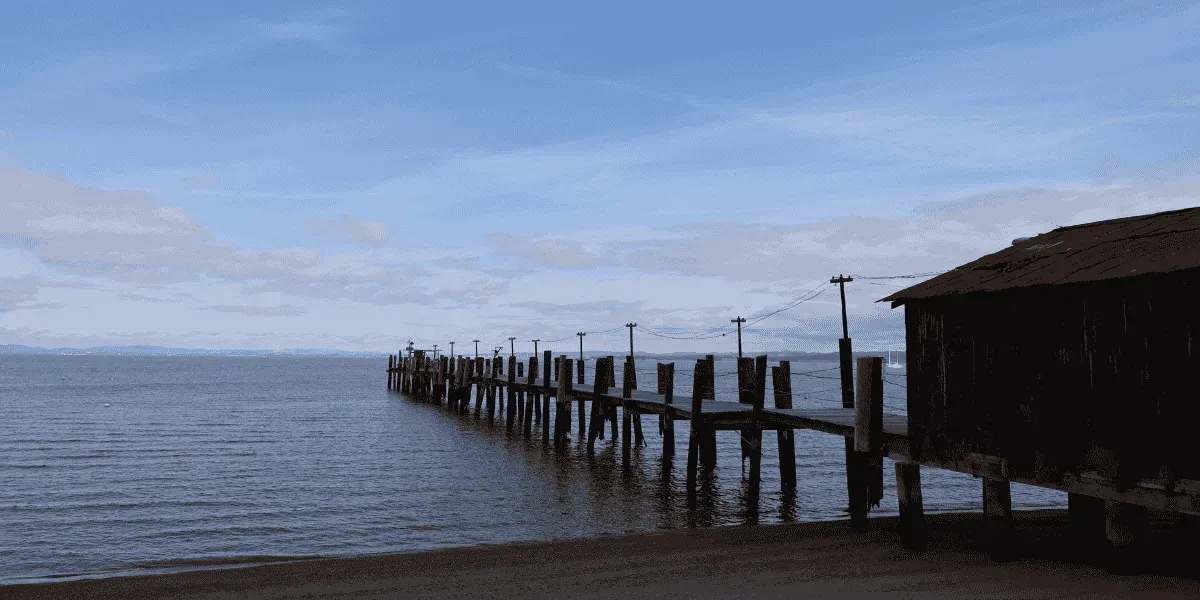 The shoreline of San Pablo Bay at China Camp State Park