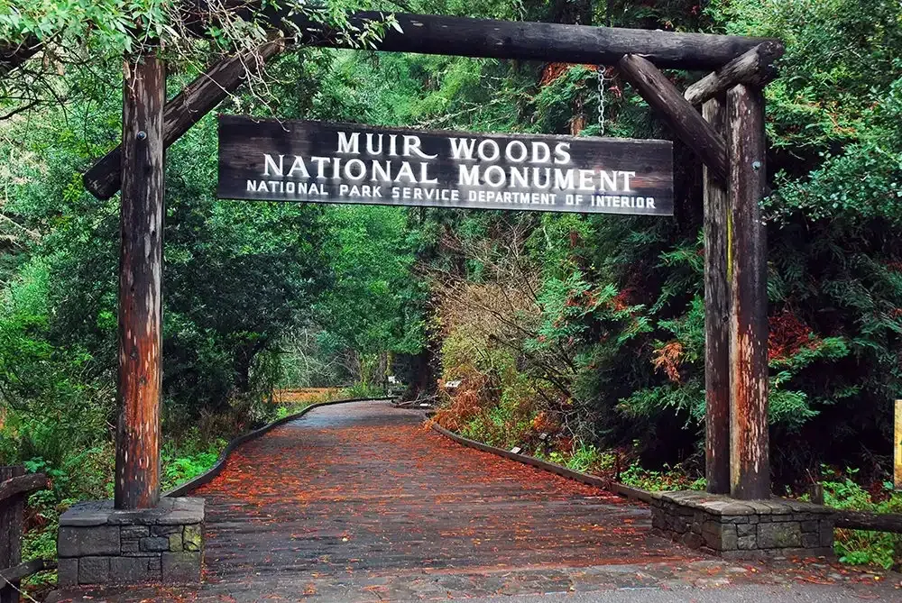 The wooden entrance sign at Muir Woods National Monument among redwoods