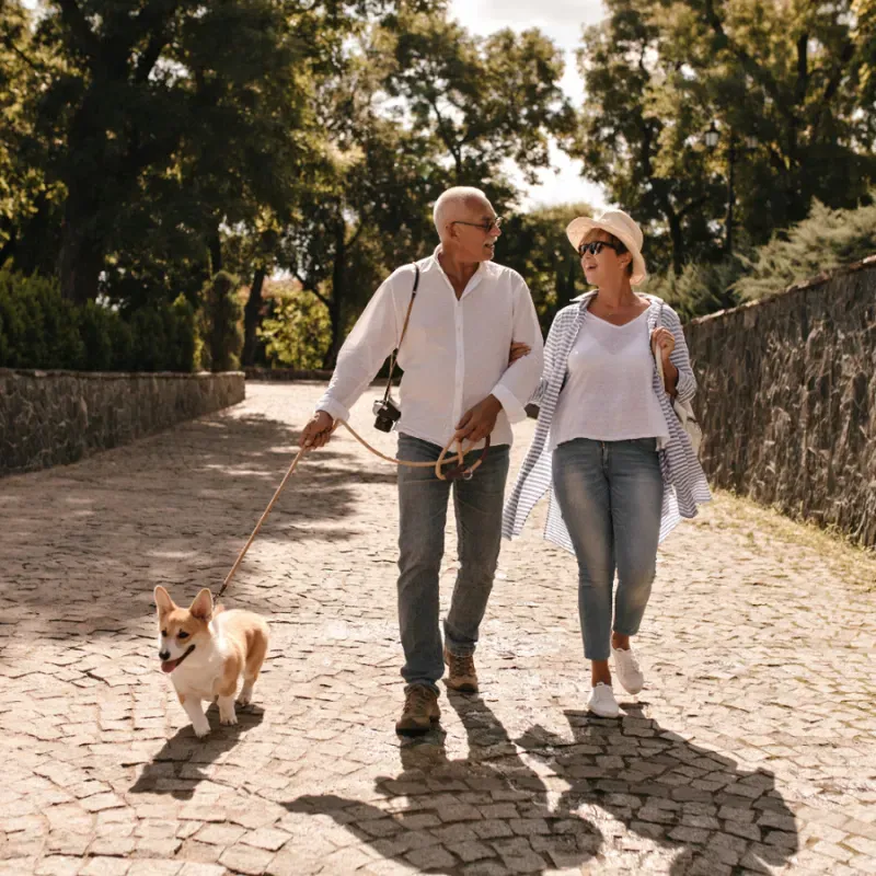 National Pet Month at Panama Hotel in San Rafael, California